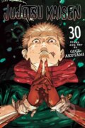 Kniha: Jujutsu Kaisen, Vol. 30 (Gege Akutami). Viz Media, 2026