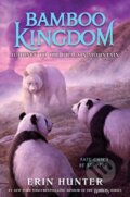 Kniha: Journey to the Dragon Mountain (Erin Hunter). HarperCollins, 2023