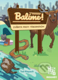 Spoločenská hra: Balíme! (REXhry). REXhry, 2025