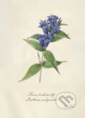 Print horec (rozmer A4) (Z našej prírody). Z našej prírody, 2025