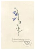 Print zvonček (rozmer A4) (Z našej prírody). Z našej prírody, 2025