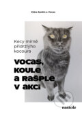 E-kniha: Kecy mírně přidrzlýho kocoura (Klára Santin), 2025