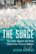 Kniha: The Surge (Jeevan Vasagar). HarperCollins Publishers, 2026