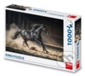 Puzzle: Puzzle Černý kůň (Dino). Dino, 2025