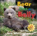 Kniha: Bear Has a Belly (Jane Whittingham). DAJAMA, 2022