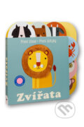 Kniha: Zvířata (Sally Payne). Svojtka&Co., 2026