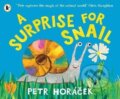 Kniha: Surprise for Snail (-). Walker books, 2026