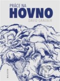 Kniha: Práce na hovno (David Graeber). Malvern, 2026
