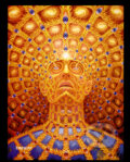 Kniha: Transfigurace (Alex Grey). Eminent, 2006