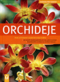 Orchideje - Frank Röllke, Vašut, 2007