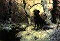 Black Labrador In Snowy Wood, Crown & Andrews