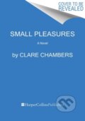 Kniha: Small Pleasures (Clare Chambers). Mariner Books, 2022
