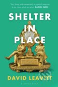Kniha: Shelter in Place (David Leavitt). Bloomsbury, 2022
