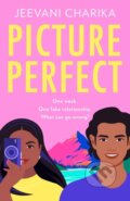 Kniha: Picture Perfect (Jeevani Charika). HQ, 2022