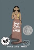Kniha: A Snake Falls to Earth (Darcie Little Badger). , 2022