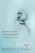 Kniha: Still Water (Rebecca Pert). The Borough Press, 2023
