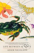 Kniha: Life Between the Tides (Adam Nicolson). Picador, 2023