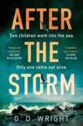 Kniha: After the Storm (G. D. Wright). Avon, 2024