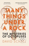 Kniha: Many Things Under a Rock (David Scheel). Hodder and Stoughton, 2024