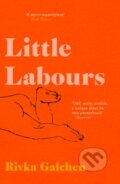 Kniha: Little Labours (Rivka Galchen). Fourth Estate, 2019