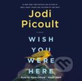 Kniha: Wish You Were Here (Jodi Picoult). , 1900