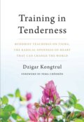 Kniha: Training in Tenderness (Dzigar Kongtrul). , 2018