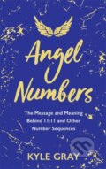 Kniha: Angel Numbers (Kyle Gray). Hay House, 2019