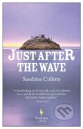 Kniha: Just After the Wave (Sandrine Collette). Europa Editions, 2020