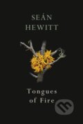 Kniha: Tongues of Fire (Sean Hewitt). Jonathan Cape, 2020