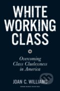 Kniha: White Working Class (Joan C. Williams). Harvard Business Review Press, 2017