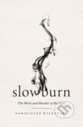 Kniha: Slow Burn (Dawnchere Wilkerson). Thomas Nelson Publishers, 2025