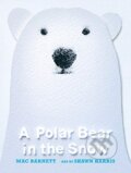 Kniha: A Polar Bear in the Snow (Mac Barnett). Walker books, 2020