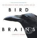 Kniha: Bird Brains (Candace Savage). , 2018