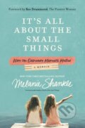 Kniha: It's All About the Small Things (Melanie Shankle). Zondervan, 2019