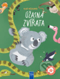 Kniha: Mladý průzkumník: Úžasná zvířata (YoYo Books). YoYo Books, 2026