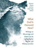 Kniha: What God Is Honored Here? (Kao Kalia Yang a Shannon Gibney). University of Minnesota Press, 2019