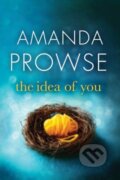 Kniha: The Idea of You (Amanda Prowse). Lake Union Publishing, 2017