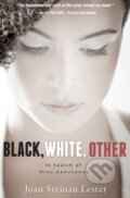 Kniha: Black, White, Other (Joan Steinau Lester). Blink, 2017