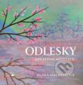 Kniha: Odlesky (Klára Maliňáková). Karmelitánské nakladatelství, 2026