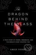 Kniha: The Dragon Behind the Glass (Emily Voigt). Scribner, 2017