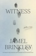 Kniha: Witness (Jamel Brinkley). Farrar, Straus and Giroux, 2023
