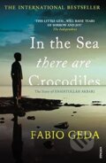 In the Sea There Are Crocodiles - Fabio Geda, 2012