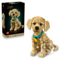 Spoločenská hra: LEGO® Icons 11384 Šteňa zlatého retrievera (LEGO). LEGO, 2026