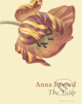 Kniha: The Tulip (Anna Pavord). Bloomsbury, 2019