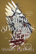Kniha: Where Shadows Meet (Patrice Caldwell). Wednesday Books, 2025