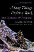 Kniha: Many Things Under a Rock (David Scheel). W. W. Norton & Company, 2024