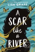 Kniha: A Scar Like a River (Lisa Graff). Little, Brown Young Readers, 2026