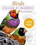 Kniha: Large Print Colour by Numbers Birds (David Woodroffe). Arcturus, 2022