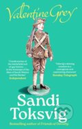 Kniha: Valentine Grey (Sandi Toksvig). Virago, 2026