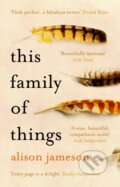 Kniha: This Family of Things (Alison Jameson). Black Swan, 2018